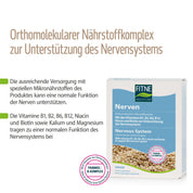 Verpackung von fitnem Nährstoffkomplex Nerven, einem veganen Nahrungsergänzungsmittel zur Unterstützung des Nervensystems mit Vitamin-B-Komplex, Niacin, Biotin, Kalium und Magnesium. Mit Boxabbildung und rundem PANMOL® B-KOMPLEX-Logo.