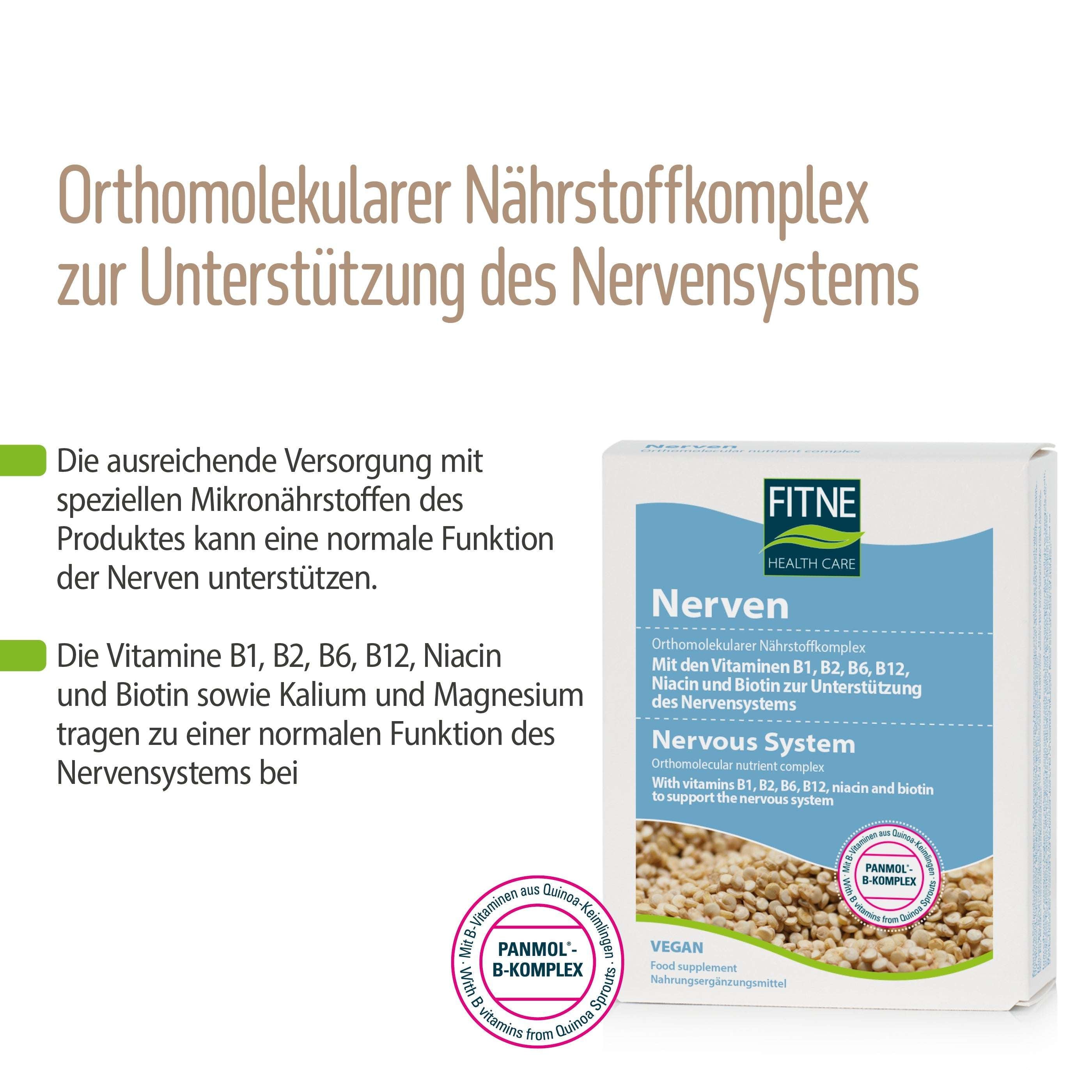 Verpackung von fitnem Nährstoffkomplex Nerven, einem veganen Nahrungsergänzungsmittel zur Unterstützung des Nervensystems mit Vitamin-B-Komplex, Niacin, Biotin, Kalium und Magnesium. Mit Boxabbildung und rundem PANMOL® B-KOMPLEX-Logo.